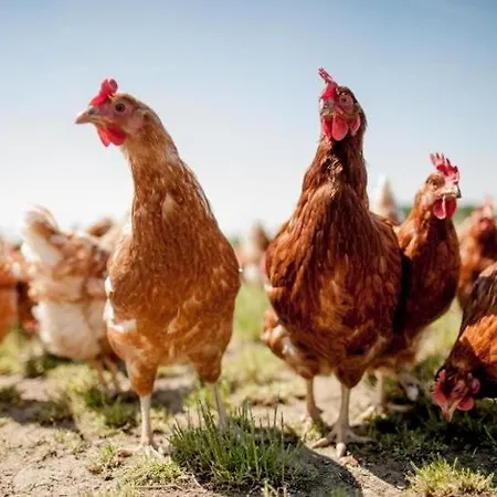 A Piece Of Oceanfront Heaven Sleeps 6 *