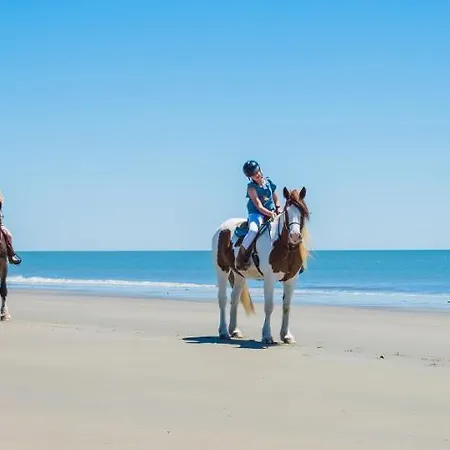 A Piece Of Oceanfront Heaven Sleeps 6 *