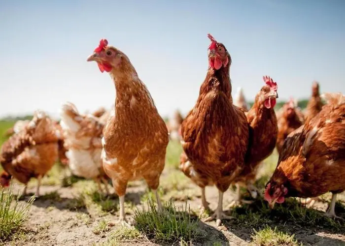 A Piece Of Oceanfront Heaven Sleeps 6 *