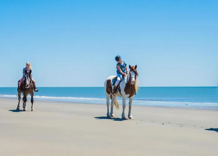 A Piece Of Oceanfront Heaven Sleeps 6 *