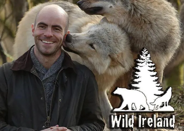 A Piece Of Oceanfront Heaven Sleeps 6 Drumaville