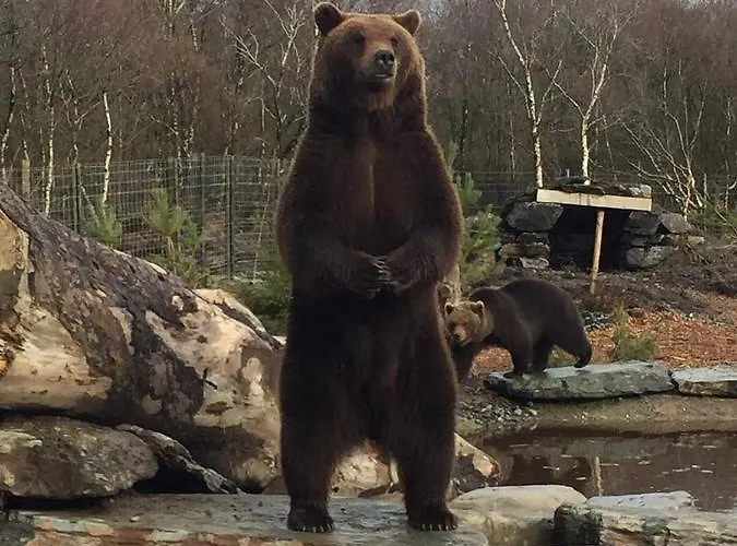 假日公园 A Piece Of Oceanfront Heaven Sleeps 6